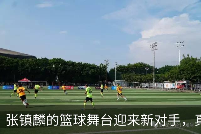 张镇麟的篮球舞台迎来新对手，真是热闹非凡！